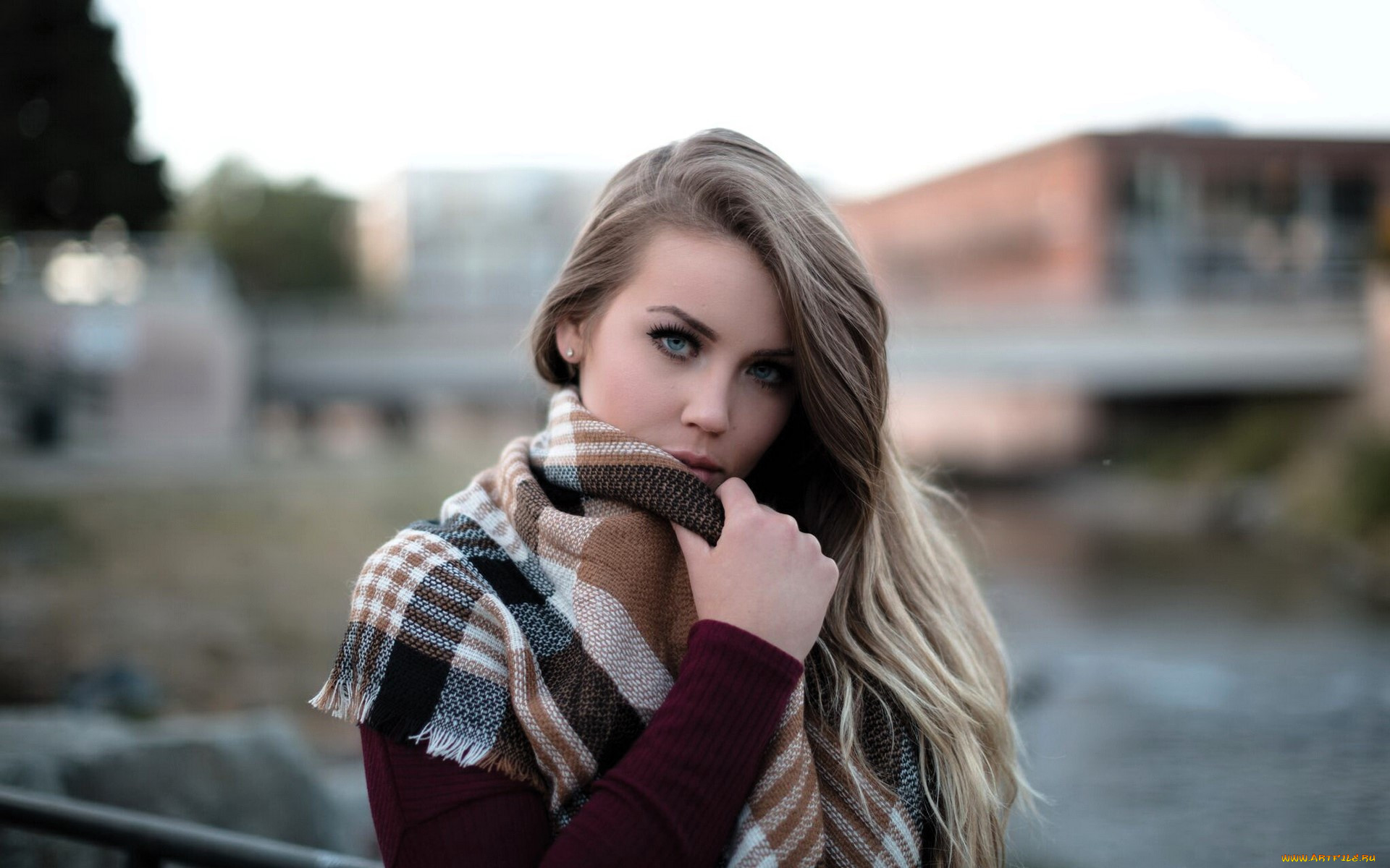, - ,  , , , 
